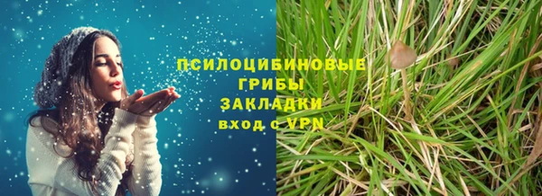 крисы Аркадак