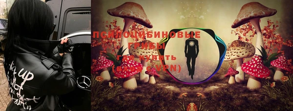 гидропоника Арсеньев