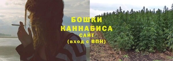 крисы Аркадак